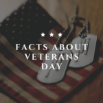 23 Facts About Veterans Day 2022 You Should Know